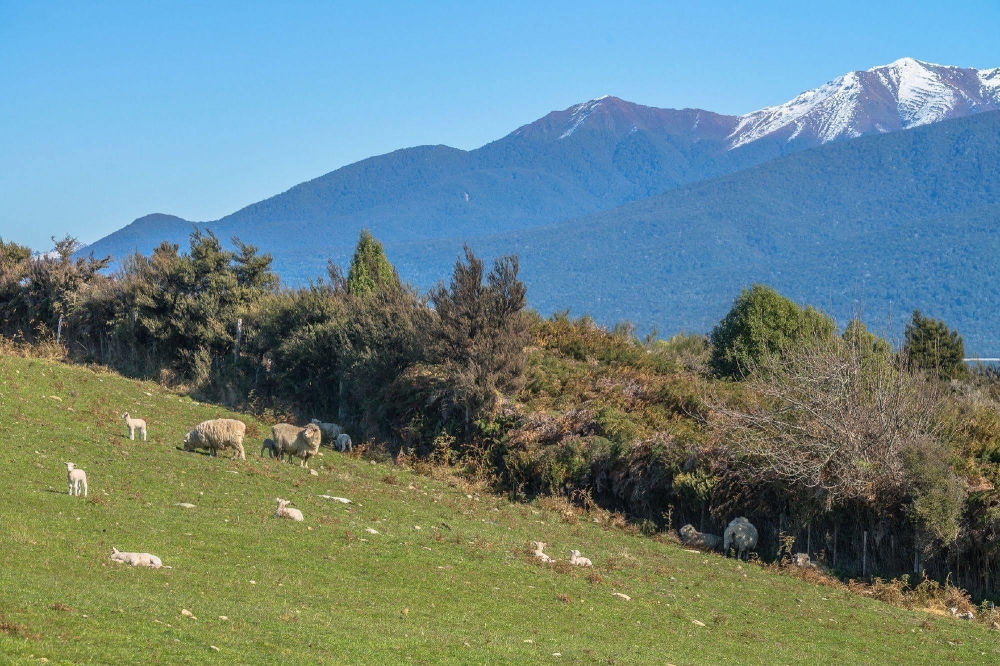 Loch Vista Bed & Breakfast Te Anau Eksteriør billede